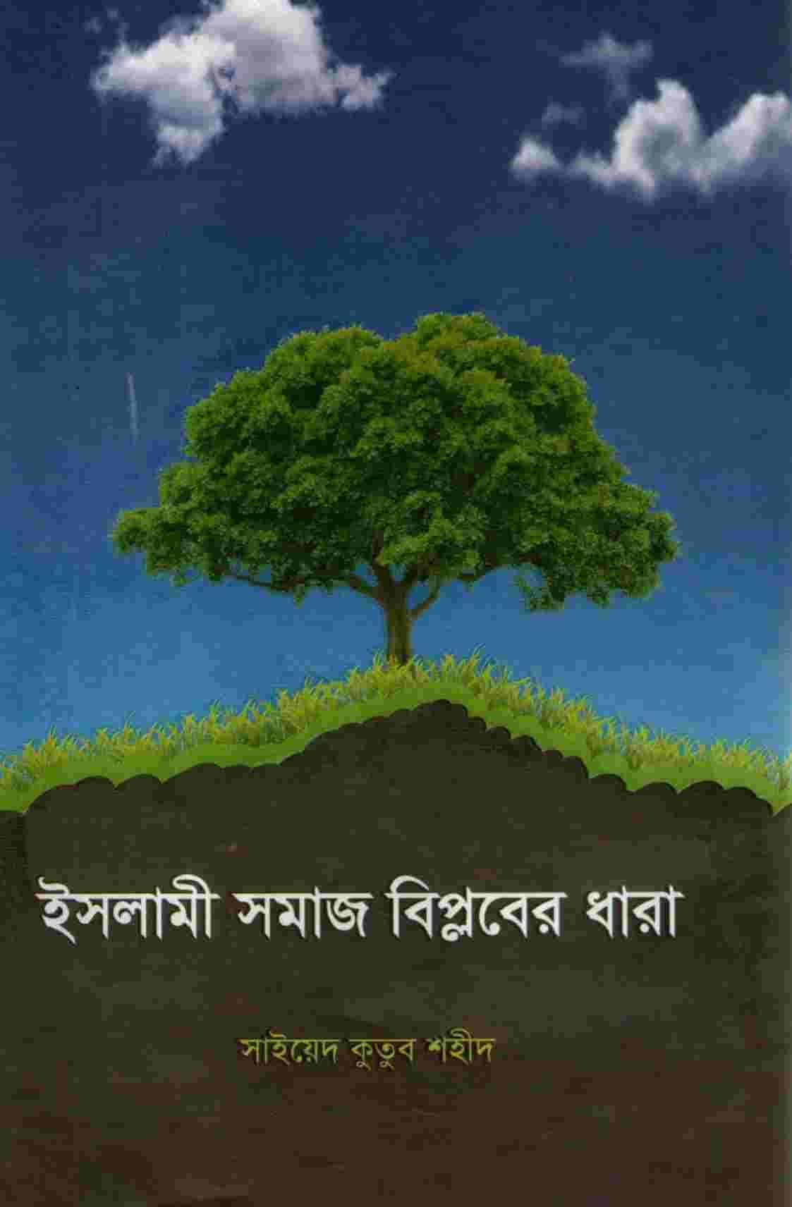 ইসলামী সমাজ বিপ্লবের ধারা